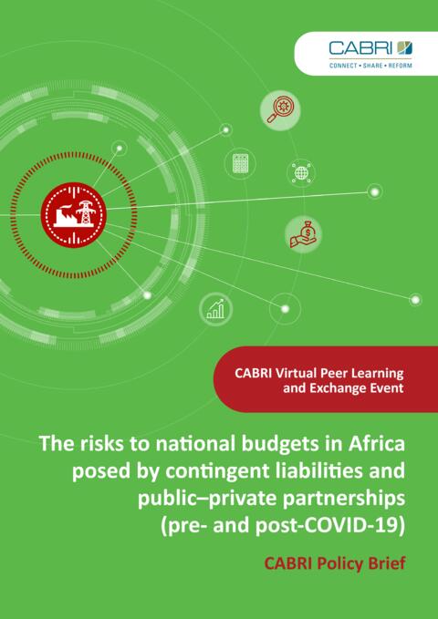 Policy Brief The Risks To National Budgets In Africa Posed By Contingent Liabilities And Public–Private Partnerships Pre And Post Covid 19