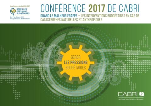 Cabri Conf Summary Disaster French Final
