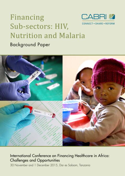 Seminar Paper 2015 Cabri Value For Money Health English 3 2Cabri Financing Subsectors Hiv Nutrition Malaria Engl