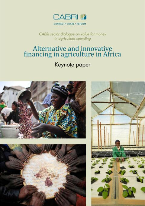 Report 2014 Cabri Value For Money Agriculture 3Rd Dialogue English Cabri Keynote Paper 2 Alternative Financing Engl