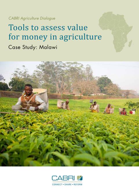 Report 2014 Cabri Value For Money Agriculture 2Nd Dialogue English Cabri Case Study Malawi 2014