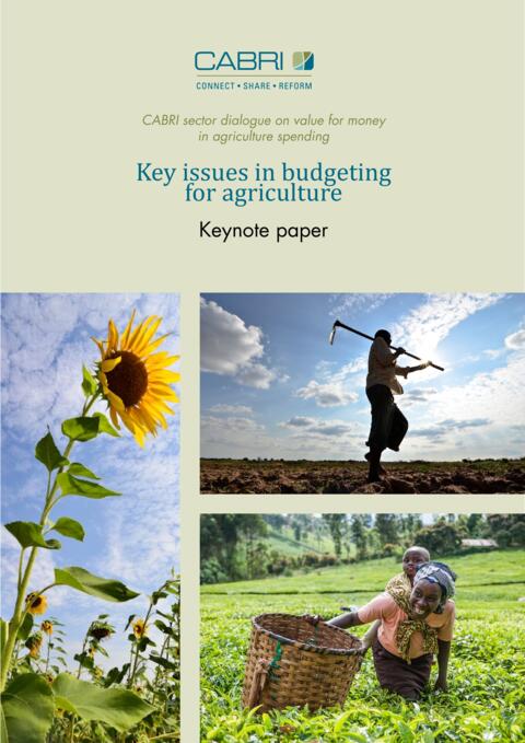 Report 2014 Cabri Value For Money Agriculture 3Rd Dialogue English Cabri Keynote Paper 1 Budgeting For Agriculture Engl