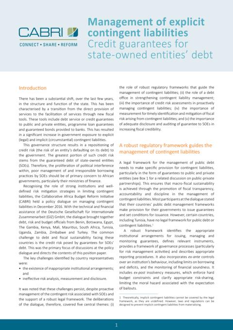 Cabri Position Paper Contingent Liabilities Eng Web
