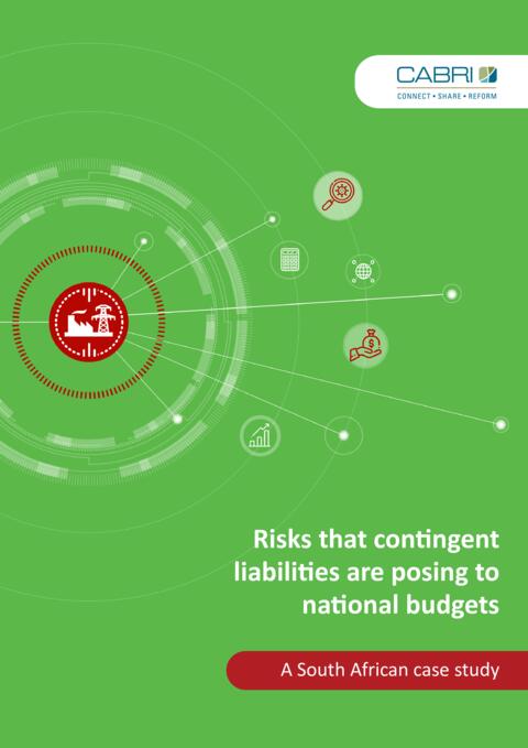 Risks That Contingent Liabilities Are Posing To National Budgets A South African Case Study