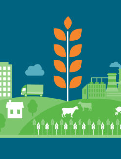 Agriculture Pd Feature