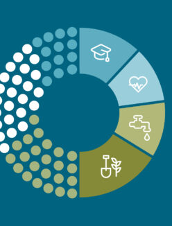 Featured Image Role Of Legislature