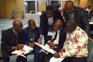 Building Public Finance Capabilities in Africa