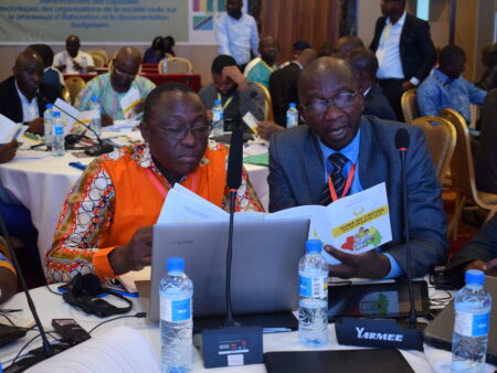Building the capacity of CSOs in Guinea