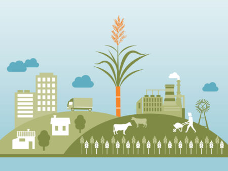Feature  Agriculture  Country  Review  Mauritius