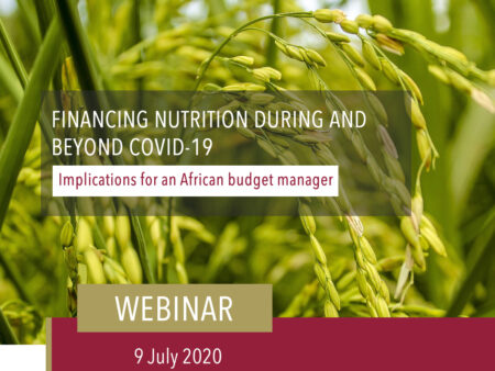 Holding Slide Financing Nutrition During And Beyond Covid 19