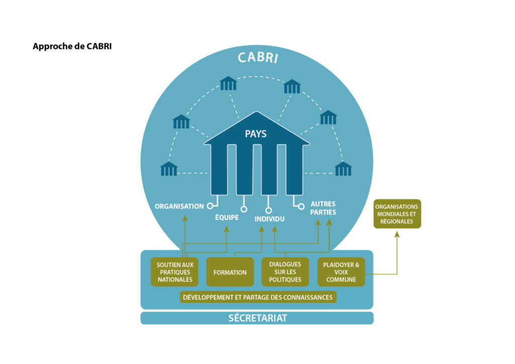 Cabri Aproach Diagram French 1 June16