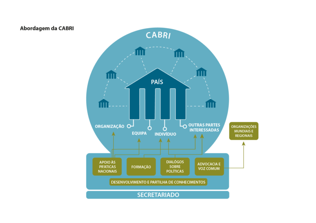 Cabri Aproach Diagram Portuguese 1 June16