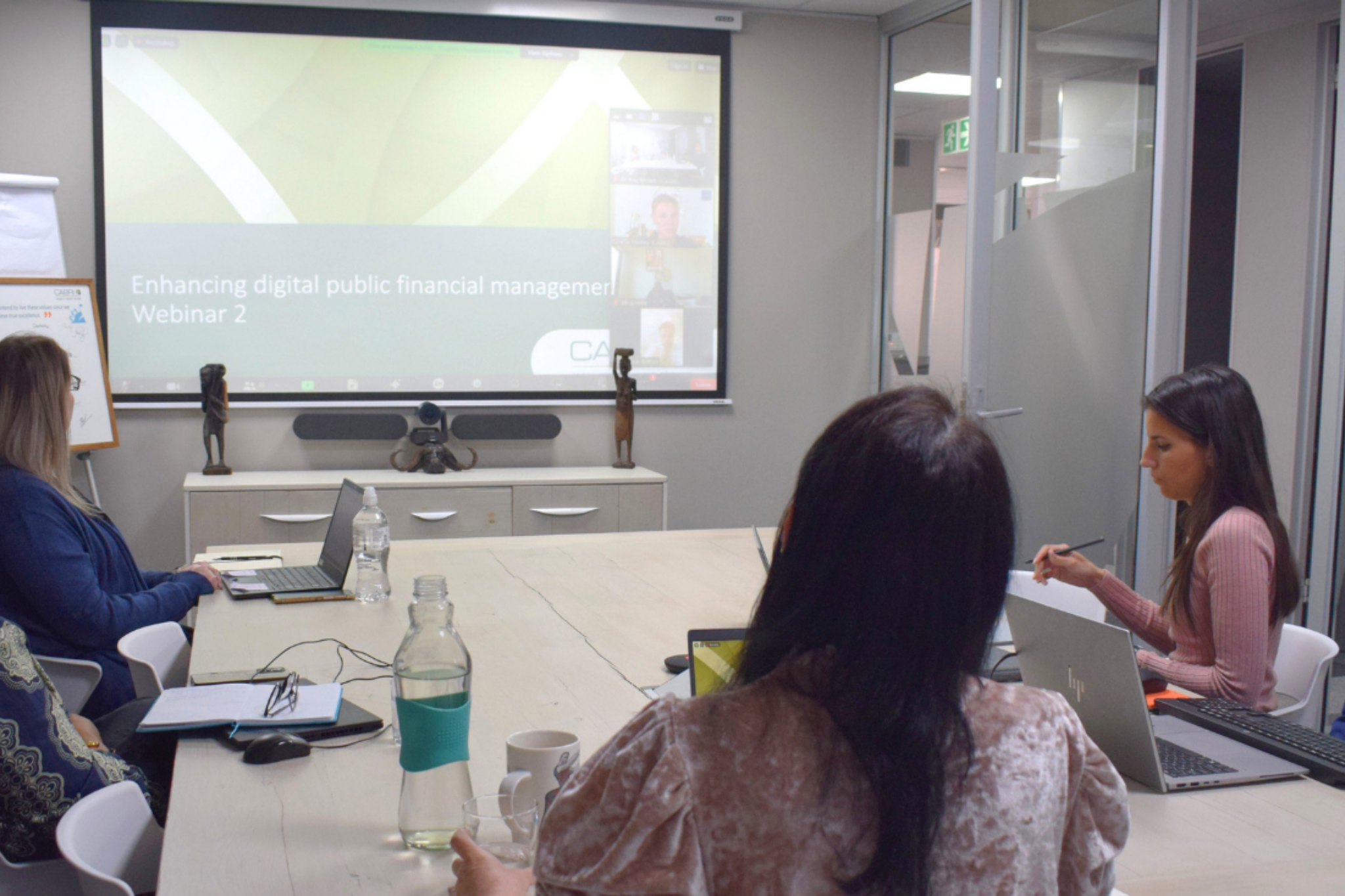 D PFM Webinar 2