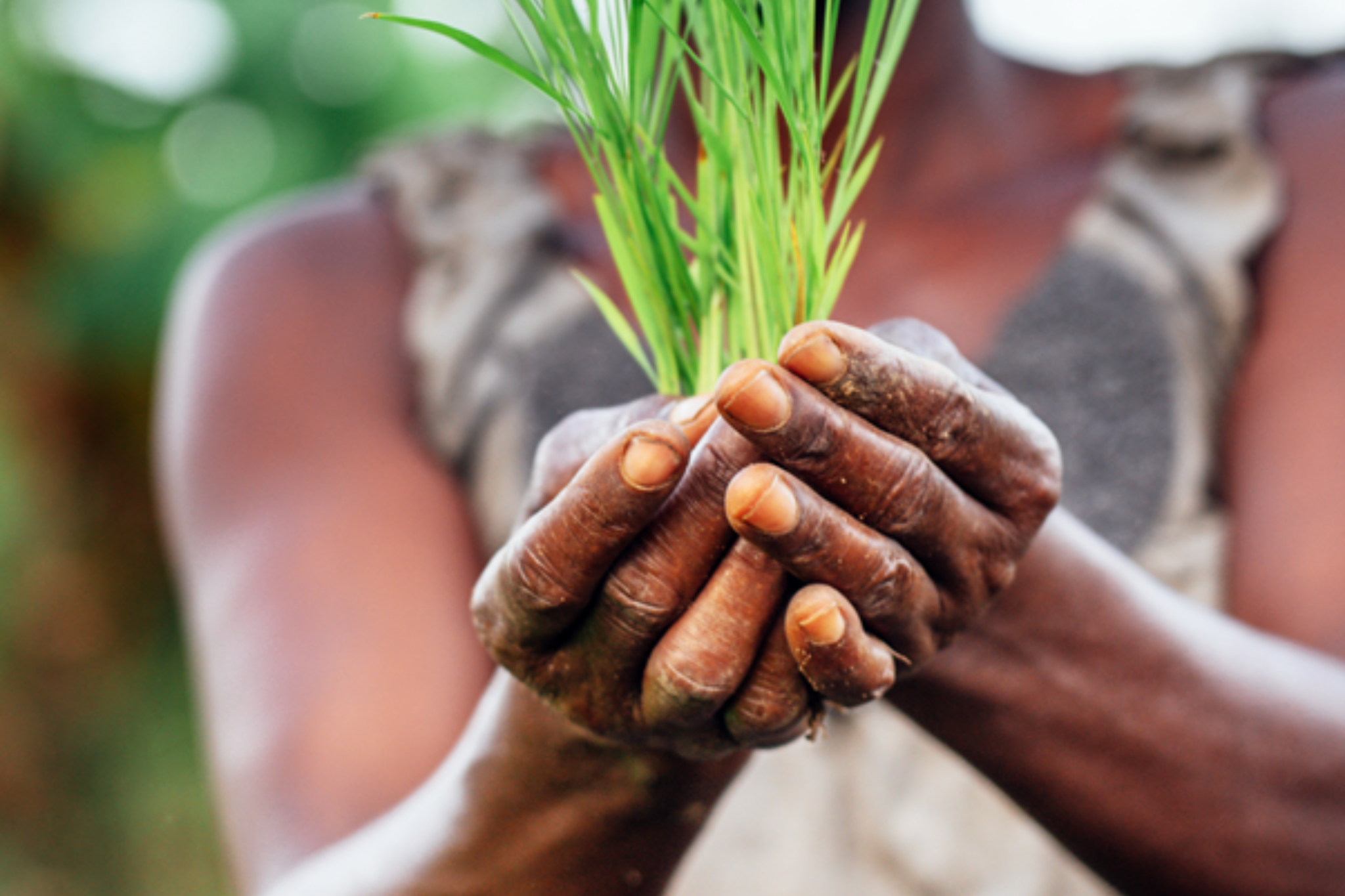 Launch of the Building Public Finance Capabilities for Nutrition Programme
