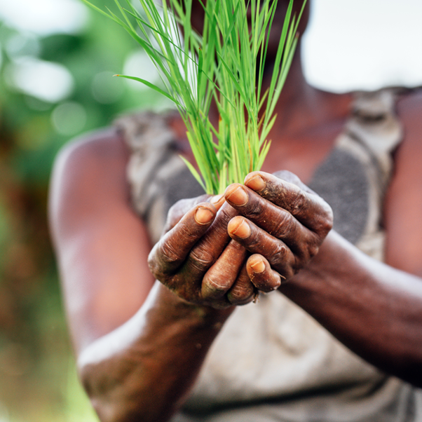 Launch of the Building Public Finance Capabilities for Nutrition Programme