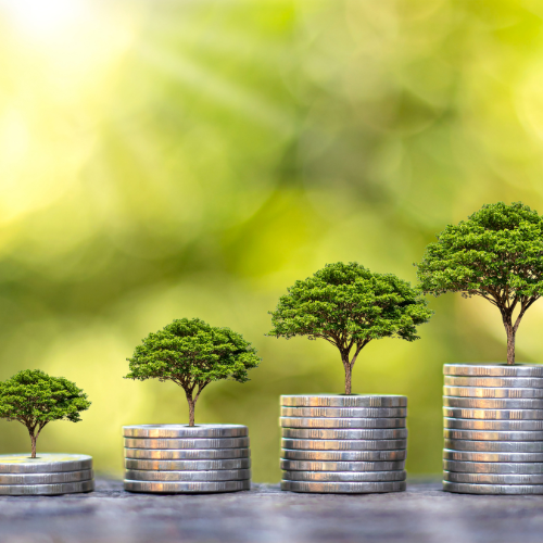 Budget practices blog