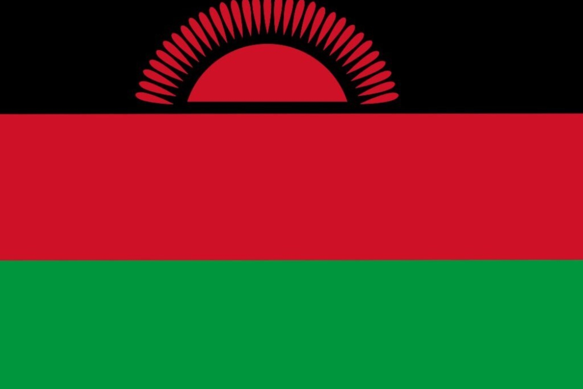 Official flag of Malawi CABRI owned