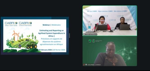 Vf M Webinar 18 2 2026