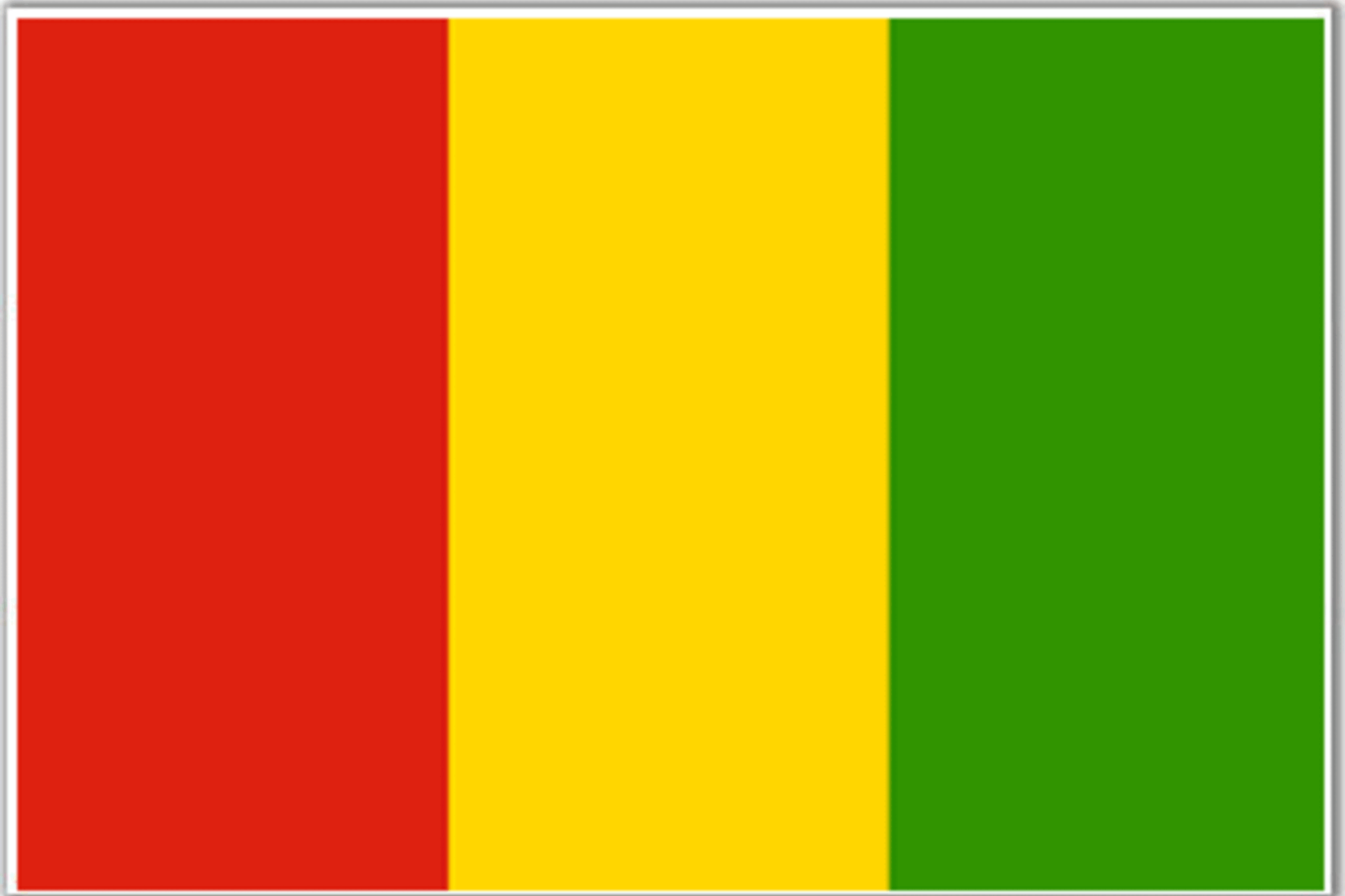 Guinea Flag