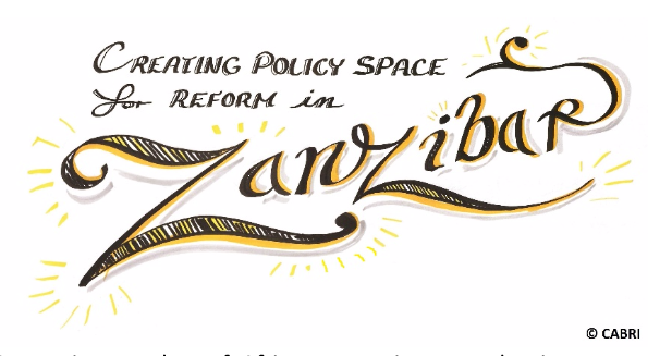 Creating policy space for programme-based budgeting