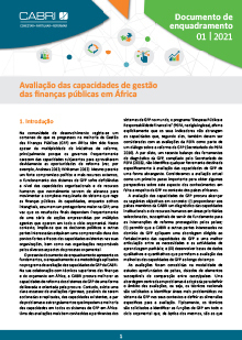 Thumbail Capability Framing Paper Portuguese Final Web 1
