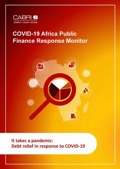Global Pandemic: Navigating Financial Relief Challenges