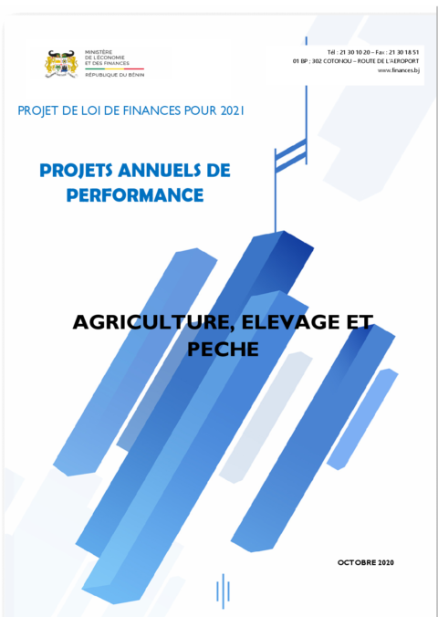 Benin 2021 Approval External Budget Proposal Ministry Of Economy And Finance ECOWASCEN SAD French 9eeaef
