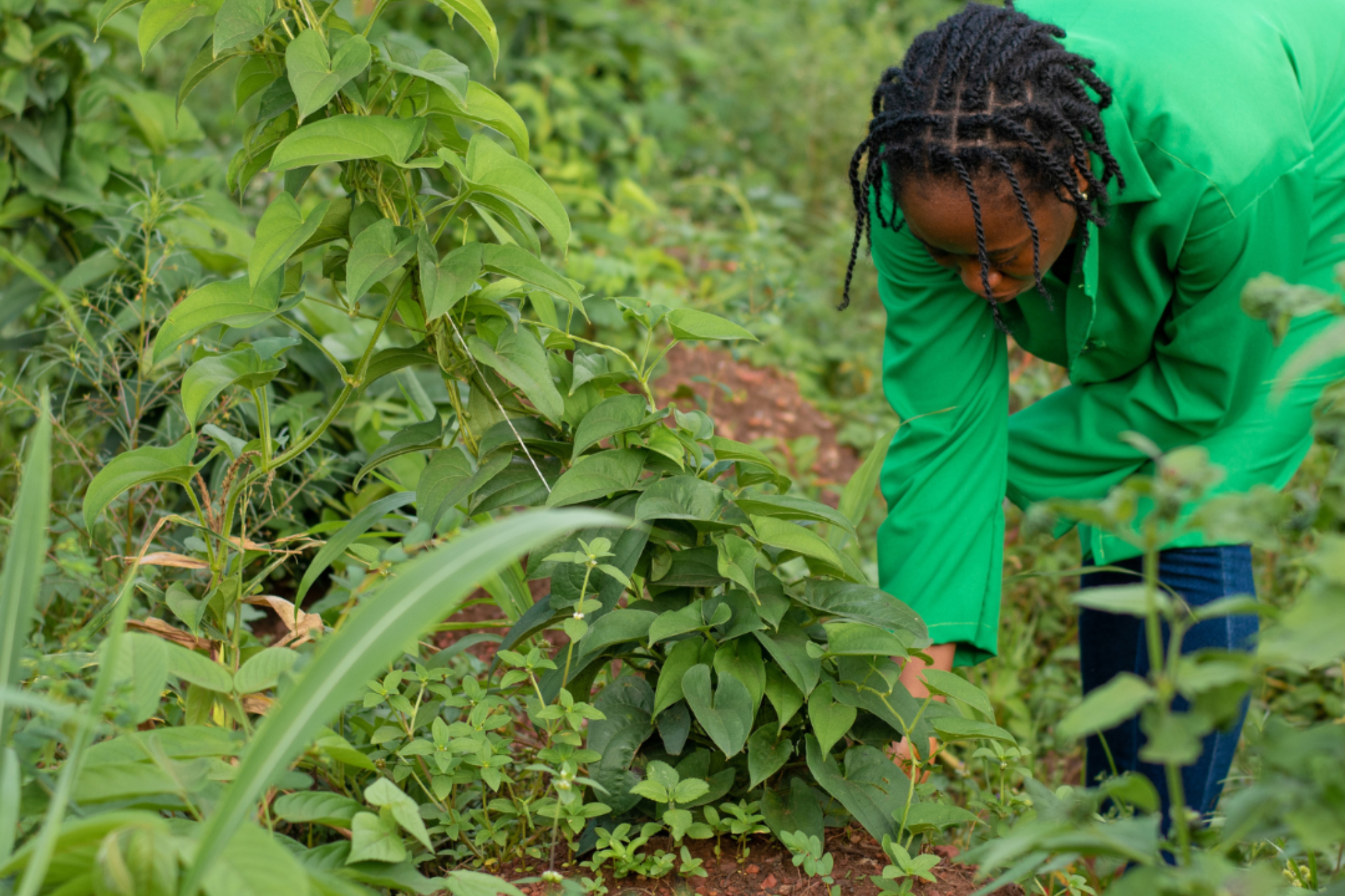 African Woman Farming