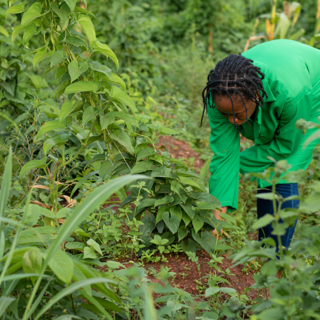 African Woman Farming