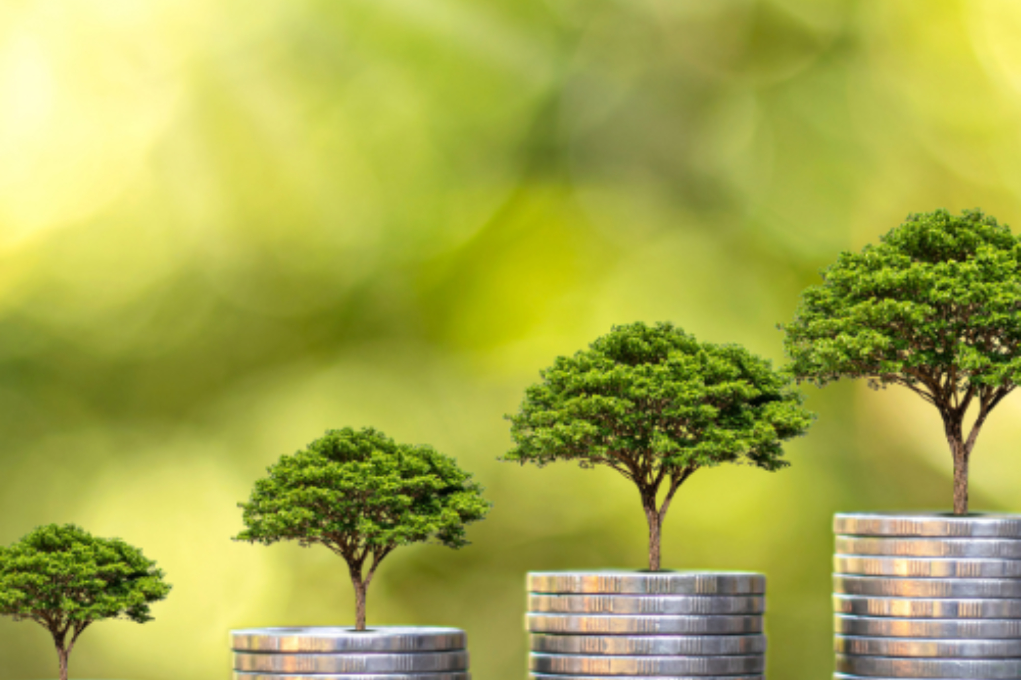 Budget practices blog