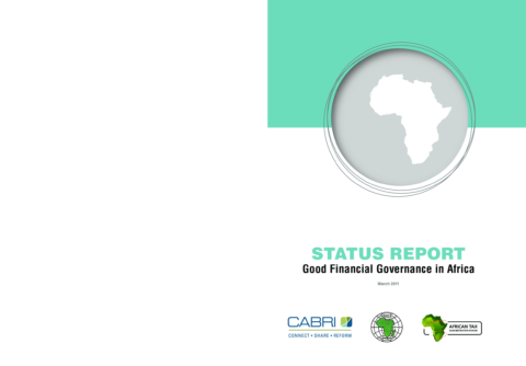 06 Status Report Gfg In Africa 2011