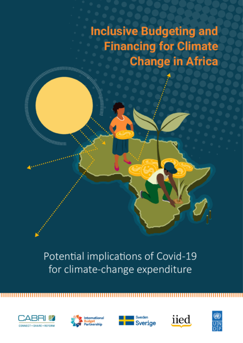 Case Study Potential Implications Of Covid 19 For Climate Change Expenditure En