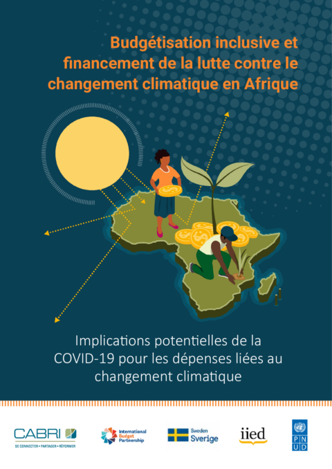 Case Study Potential Implications Of Covid 19 For Climate Change Expenditure Fr