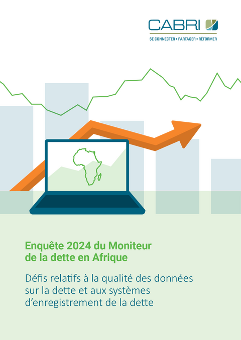 Défis relatifs à la qualité des données sur la dette et aux systèmes denregistrement de la dette