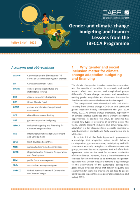 Gender and climate-change budgeting and finance: Lessons from the IBFCCA Programme