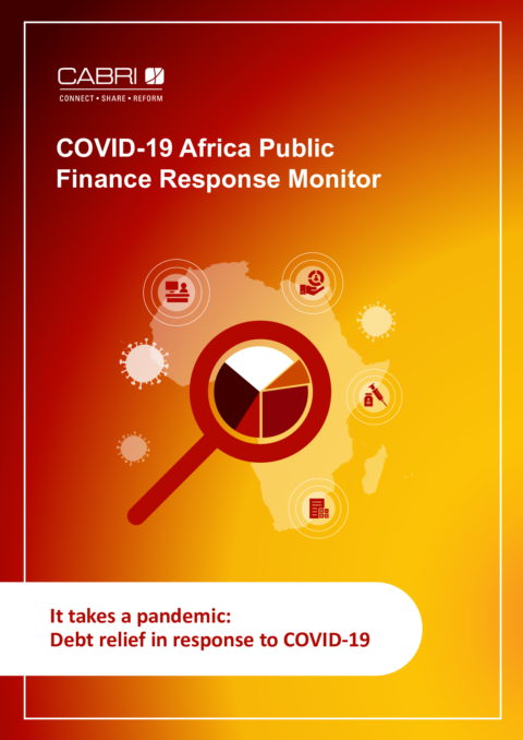 It takes a pandemic - Debt relief in response to COVID-19