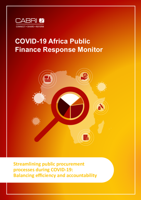 Streamlining public procurement processes during COVID-19 - Balancing efficiency and accountability