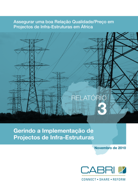 Report 2010 Cabri Value For Money Infrastructure 1St Dialogue Portuguese Cabri Report 3 Port Web