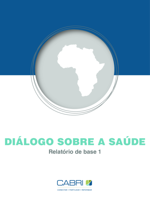 Report 2011 Cabri Value For Money Health 1St Dialogue Portuguese Cabri Health Dialogue Report 1 Porto Final