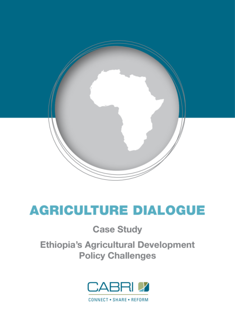 Report 2013 Cabri Value For Money Agriculture 1St Dialogue English Ethiopia Case Study Agriculture