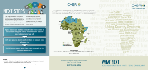 Report 2014 Cabri Transparency And Accountability Use Of Country Systems English Cabri Country Systems English