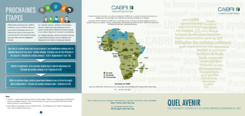 Report 2014 Cabri Transparency And Accountability Use Of Country Systems French Cabri Country Systems Francais