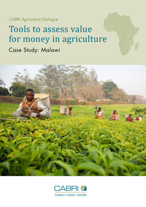 Report 2014 Cabri Value For Money Agriculture 2Nd Dialogue English Cabri Case Study Malawi 2014