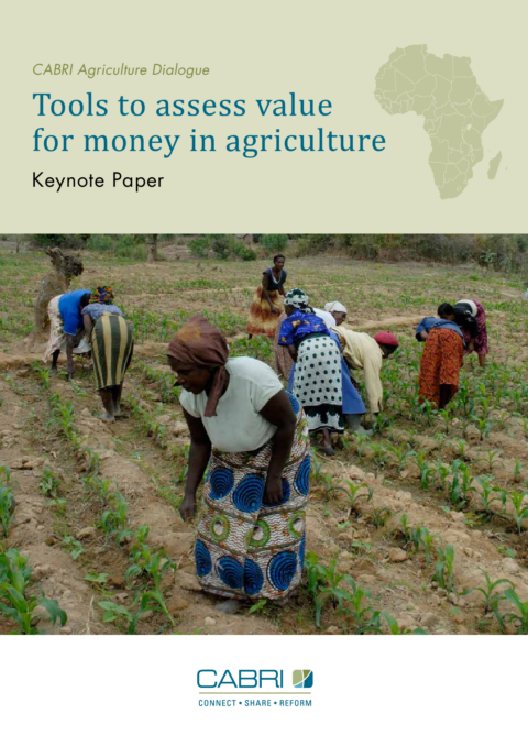 Report 2014 Cabri Value For Money Agriculture 2Nd Dialogue English Cabri Tools To Assess Value For Money In Agriculture