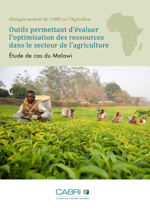 Report 2014 Cabri Value For Money Agriculture 2Nd Dialogue French Case Study Malawi Agriculture 2014 French