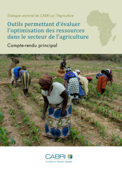 Report 2014 Cabri Value For Money Agriculture 2Nd Dialogue French Loptimisation Des Ressources Dans Le Secteur De Lagriculture