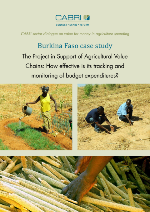 Report 2014 Cabri Value For Money Agriculture 3Rd Dialogue English Burkina Faso Case Study Engl