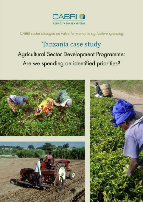 Report 2014 Cabri Value For Money Agriculture 3Rd Dialogue English Tanzania Case Study Engl