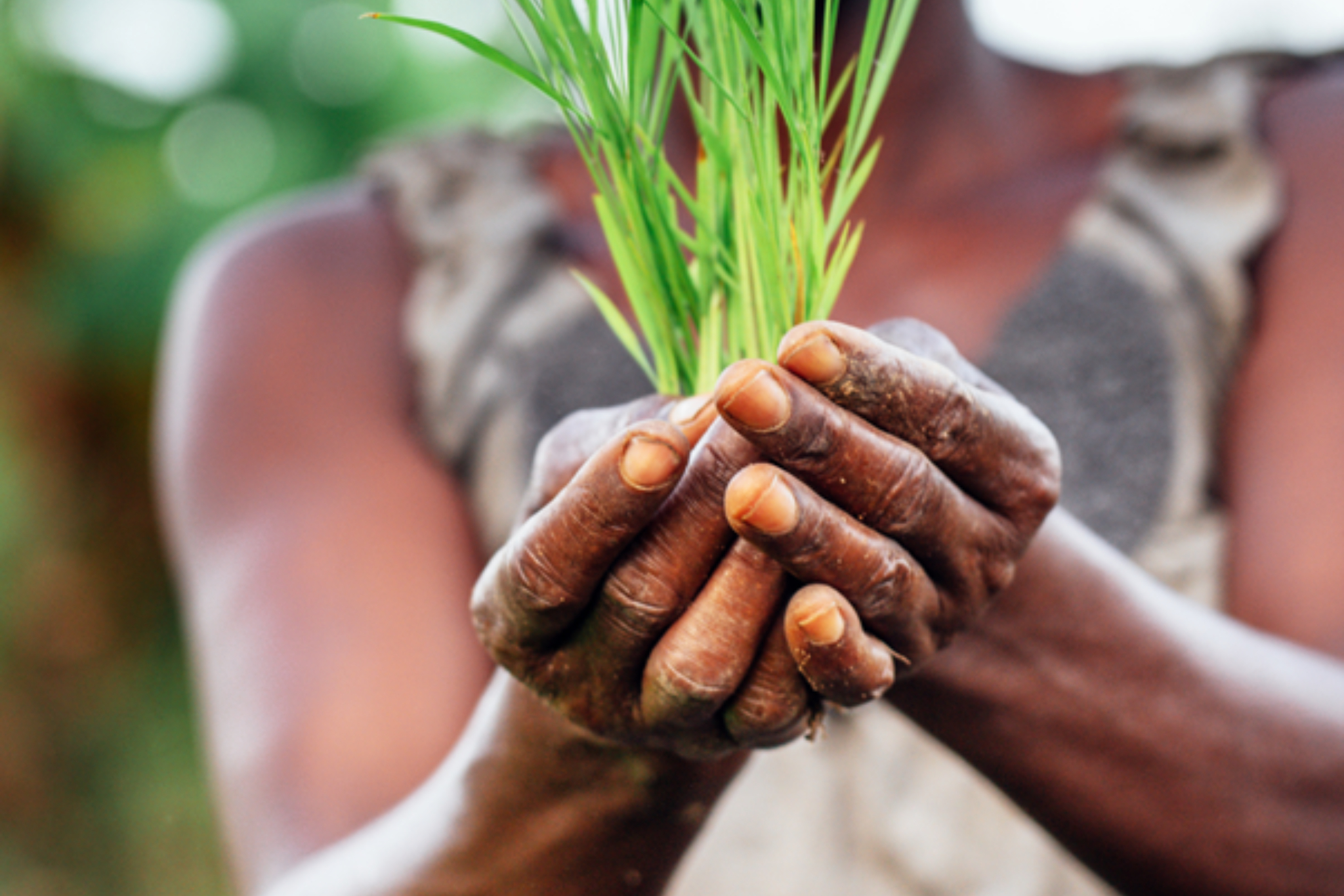 Launch of the Building Public Finance Capabilities for Nutrition Programme