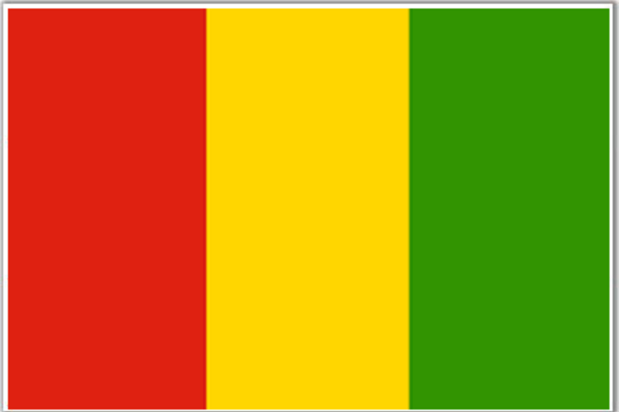 Guinea Flag